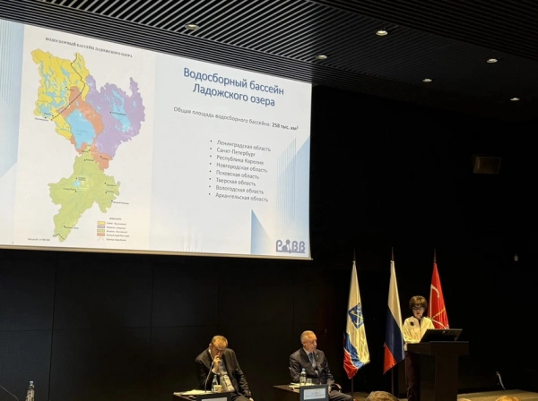 РАВВ представила предложения к новому федеральному проекту «Чистая Ладога»