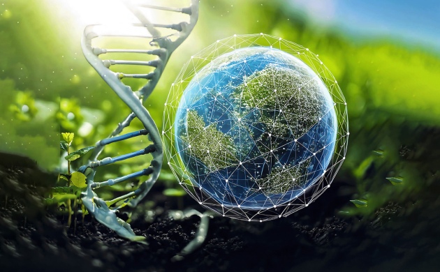 СП «ОСОТ» рассказал о потенциале вторичного использования осадков сточных вод в рамках биоэкономики