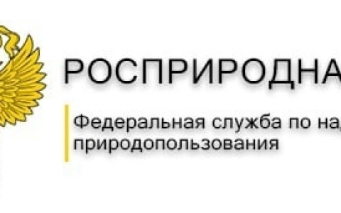 Плата за негативное воздействие на окружающую среду и возмещение причинённого ущерба остаются главными статьями пополнения бюджета Росприроднадзором